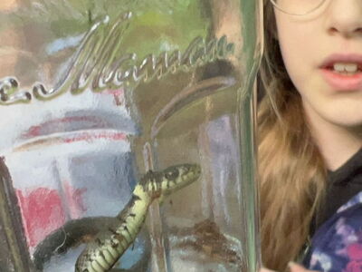 Eine Schülerin bestaunt eine kleine Schlange in einem Glas