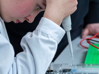 DNS wird in Elektrophorese Gel pipettiert