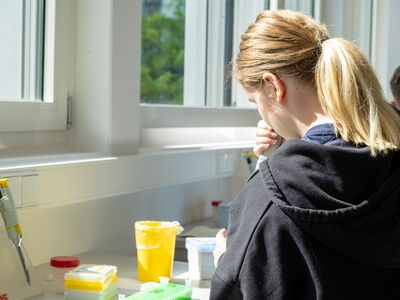 Der genetische Fingerabdruck