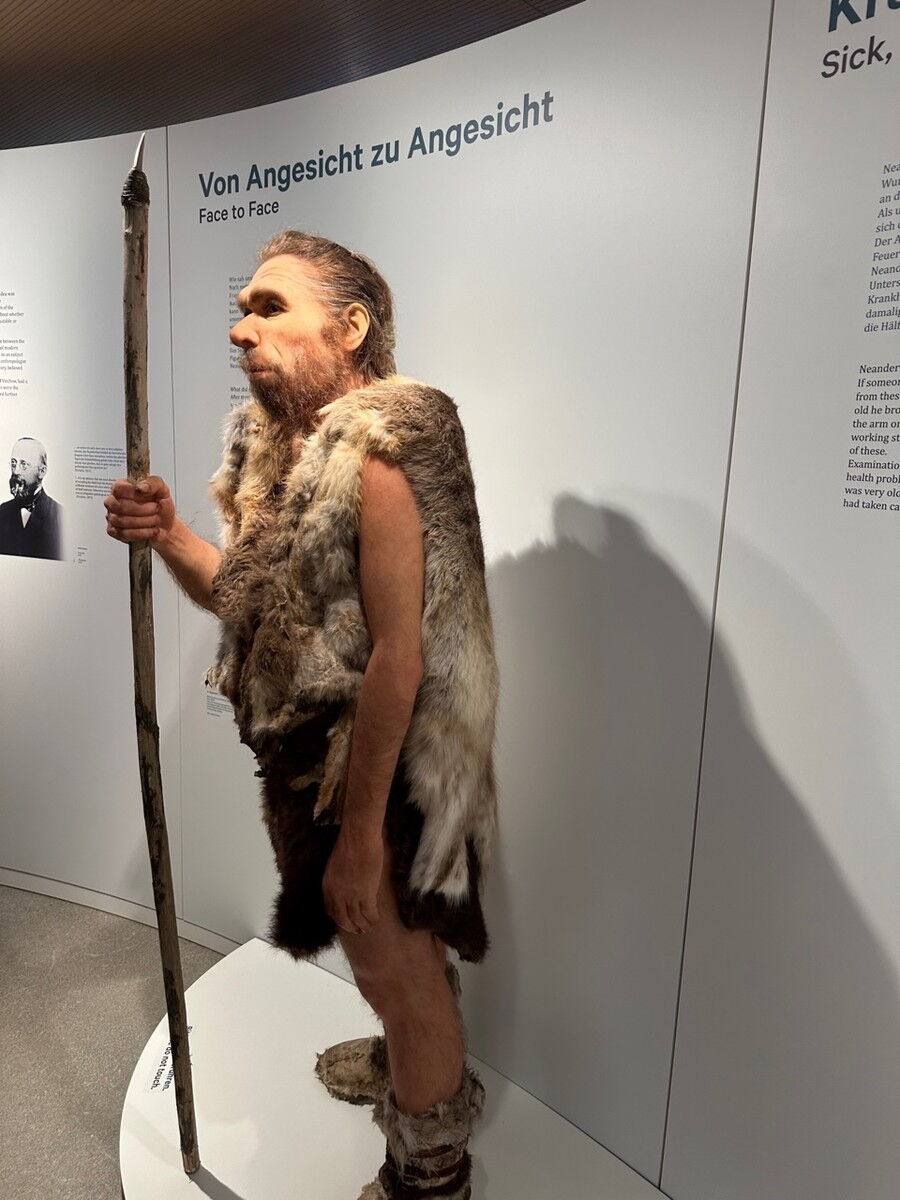 Zu Besuch beim Neandertaler
