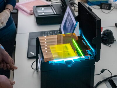 Der genetische Fingerabdruck