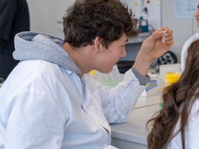 Pellet mit DNS nach Zentrifugation