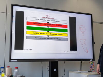 Anleitung DNS Präparation