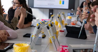 Der genetische Fingerabdruck