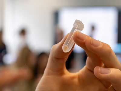 Der genetische Fingerabdruck