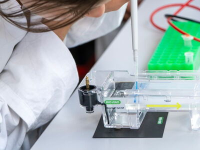 Vorbereitung für die Elektrophorese